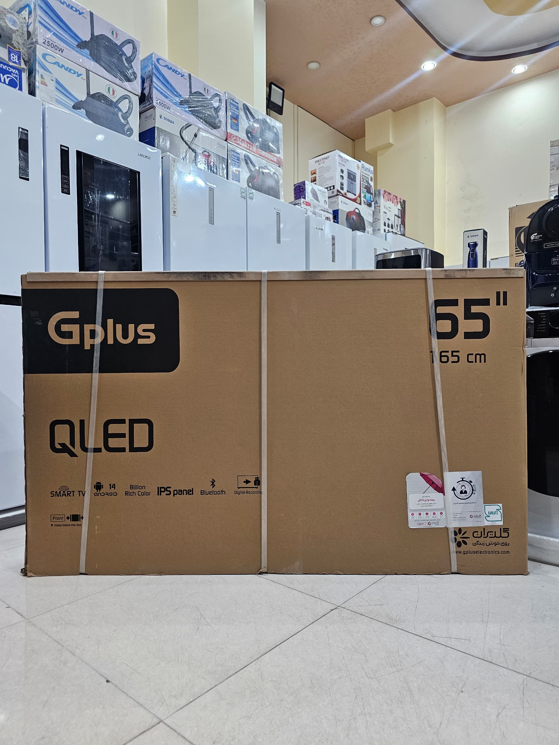 جی پلاس کیو الد